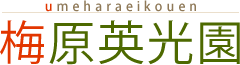 【展示会】さつき盆栽と枝物盆栽や草物盆栽なら梅原英光園